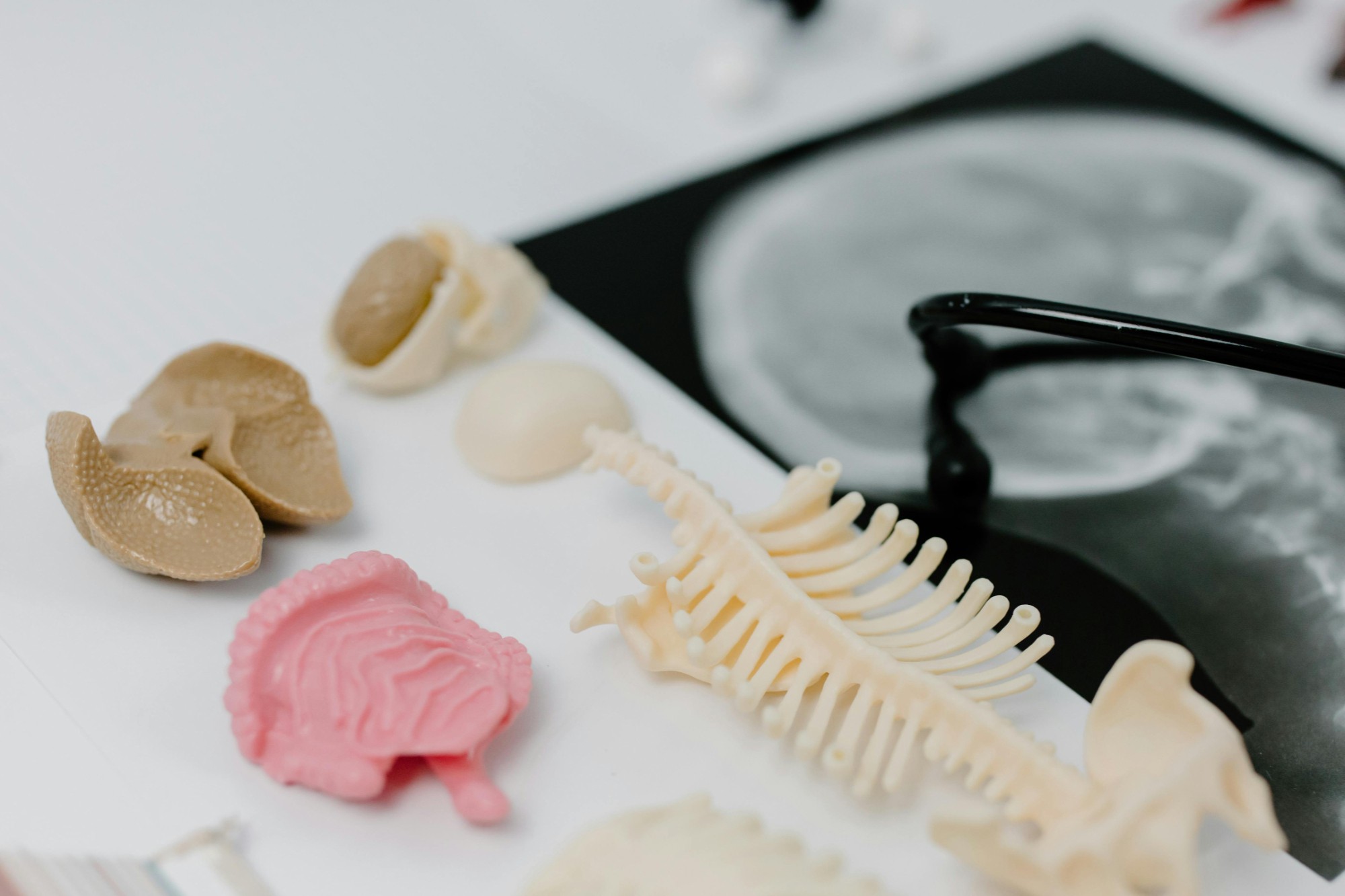 港股创新药基石投资兴起，礼来等顶级机构强势投资映恩、恒瑞等知名药企！