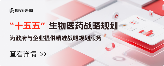 十五五战略规划