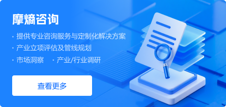 摩熵咨询