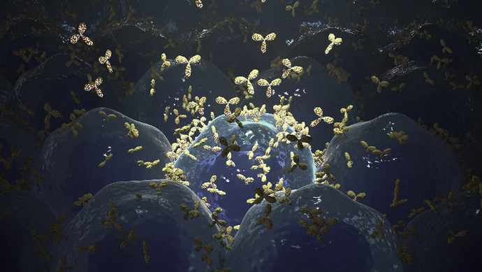 仿制药参比制剂目录查询API接口