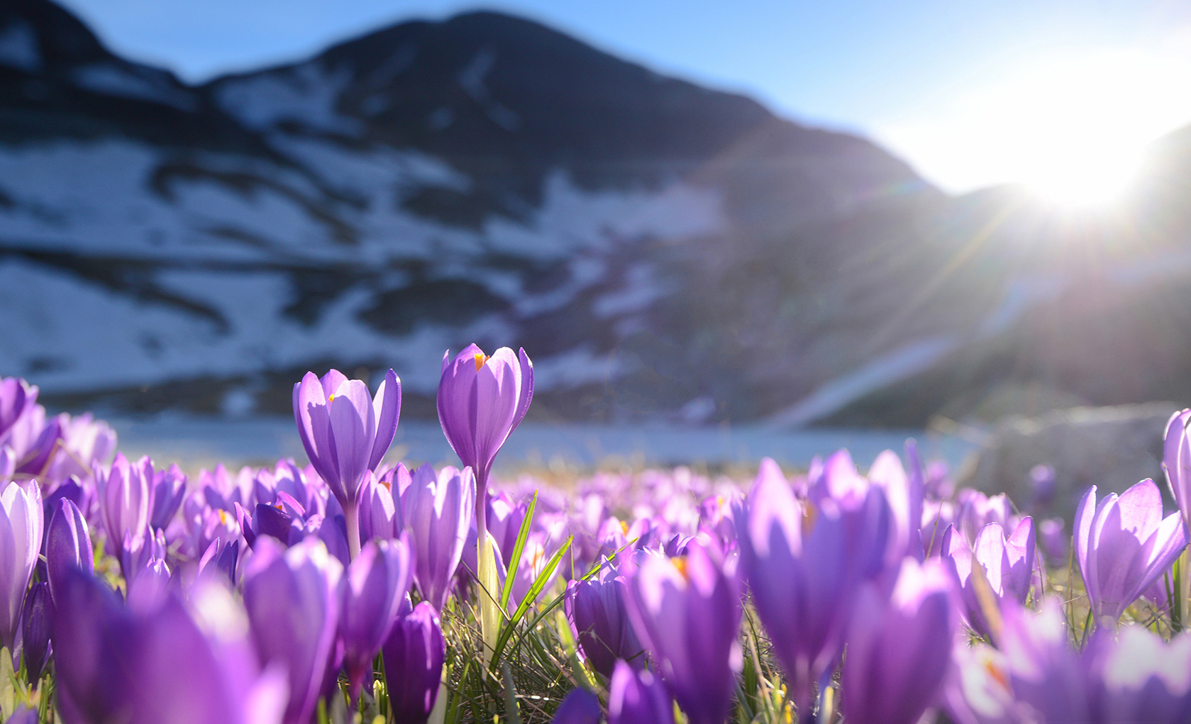 药品审评中心官网查询入口