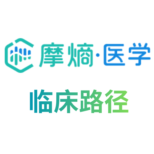 摩熵医学-临床路径