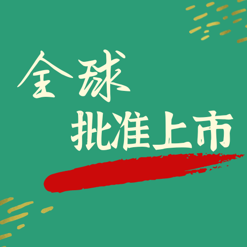 全球批准上市API服务