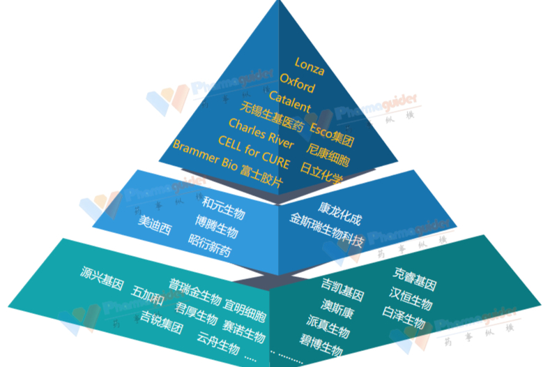 2021全球基因治疗CRO/CDMO梯队排名