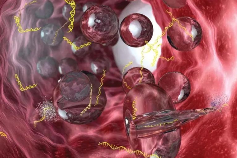 Robert Langer教授创立的Suono Bio完成850万美元A轮融资