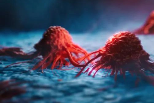 重磅！礼来超20亿美元合作开发刺激肿瘤特异性免疫反应的新型小分子