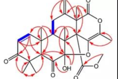小分子化合物结构确证相关技术要求和经验总结