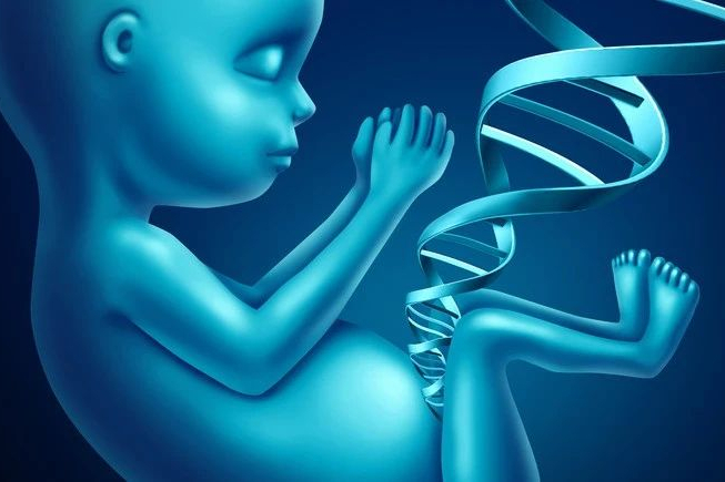 70年征程瑞士Ferring：全球多肽新药引领者