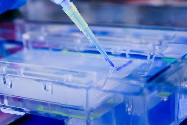 多肽CDMO市场方兴未艾