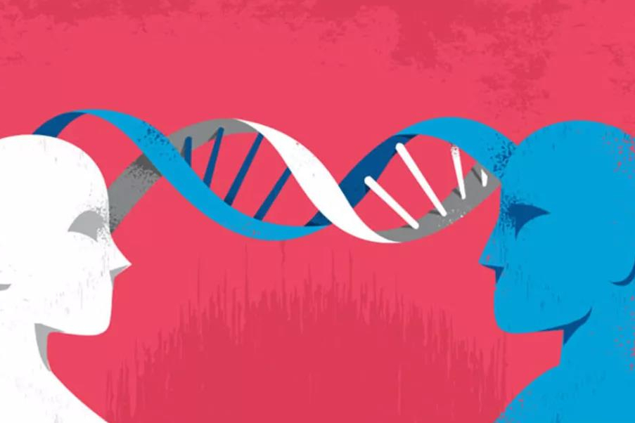 新锐！5亿美元A轮融资，Neumora Therapeutics推出脑疾病精准医学新时代