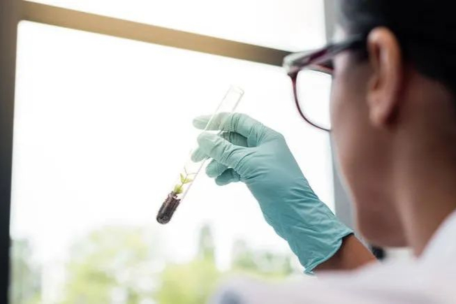 上海医药变革：频频产生新交易、走近创新