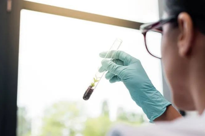 如何应对FDA现场检查（审计）＆经验分享（一）