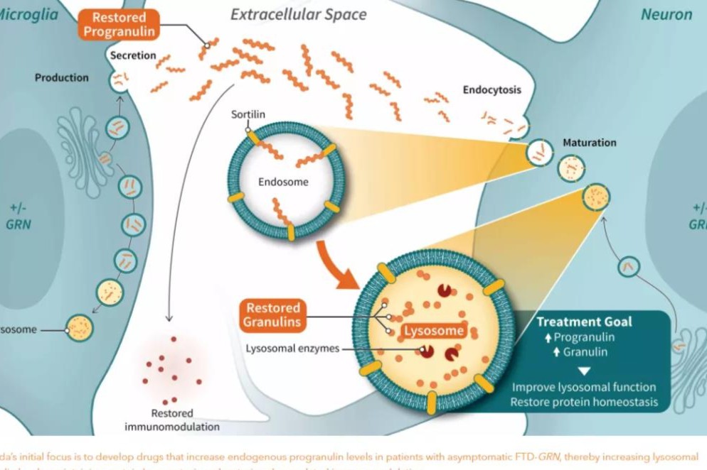 Arkuda Therapeutics完成6400万美元B轮融资