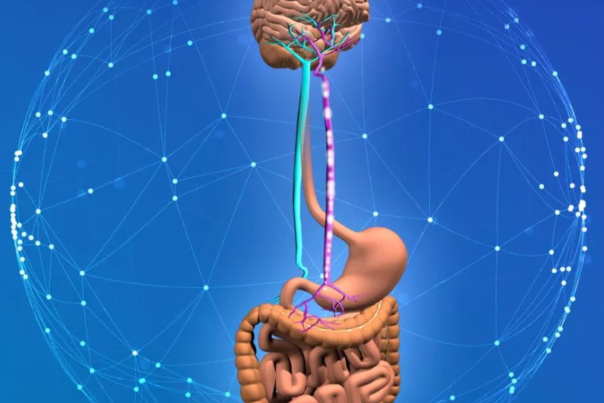 肠脑轴新药研发平台：Kallyope，完成2.36亿美元D轮融资