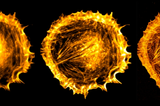 ONI完成7500万美元B轮融资，ARCH领投
