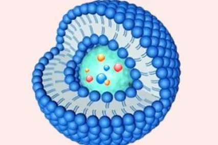 通过脂质技术提高BCS IV类药物生物利用度