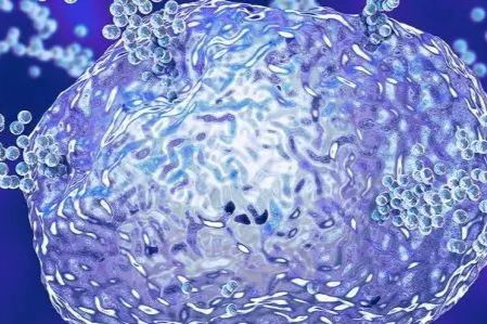 Creyon Bio完成4000万美元融资，开发RNA新药!