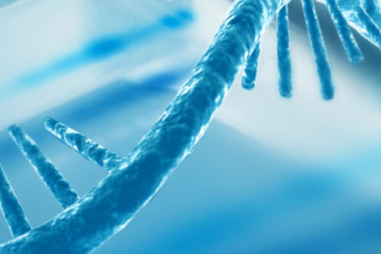 mRNA平台Ethris完成2630万美元B轮融资