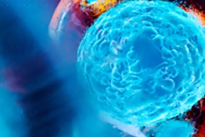 开发CDK2抑制剂，Incyclix Bio完成3000万美元B轮融资