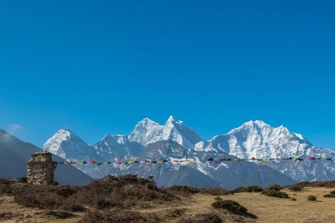 石药集团：新型冠状病毒mRNA疫苗获临床许可！重仓mRNA及核酸药物