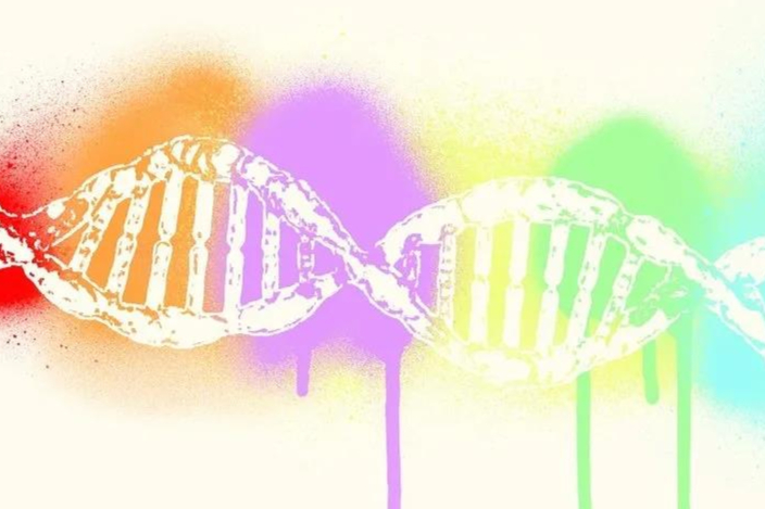 ADC药物市场：DS8201被纳入突破性疗法！荣昌生物、罗氏大卖