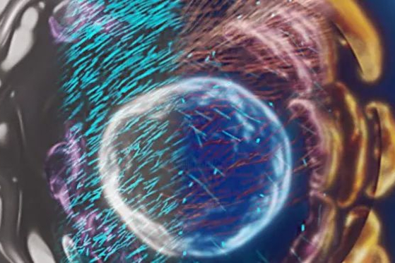 Turn Bio完成新一轮融资，开发长寿疗法