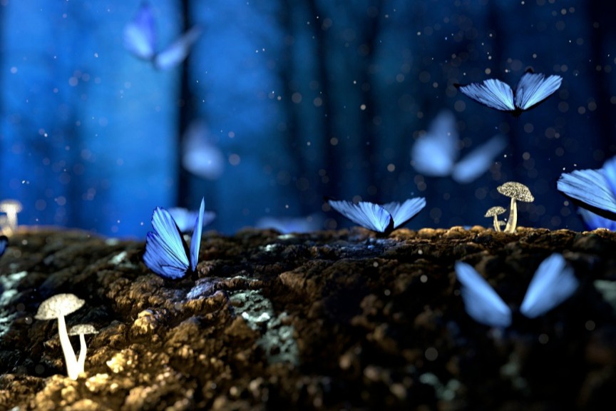 促进DNA合成开发，Ansa Biotechnologies完成6800万美元A轮融资