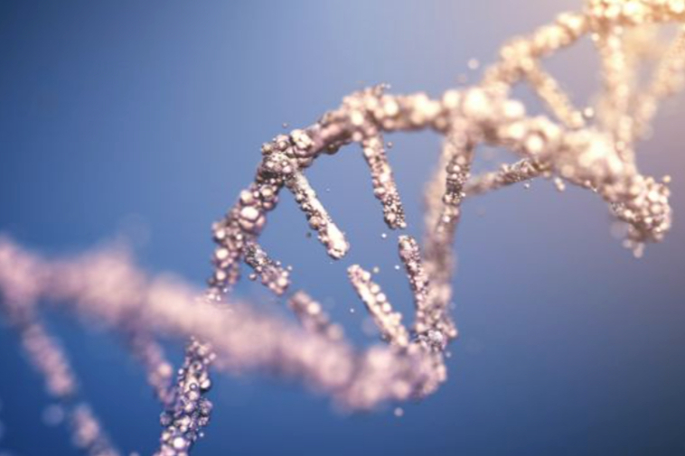 开发下一代AAV基因治疗！Apertura完成6700万美元A轮融资