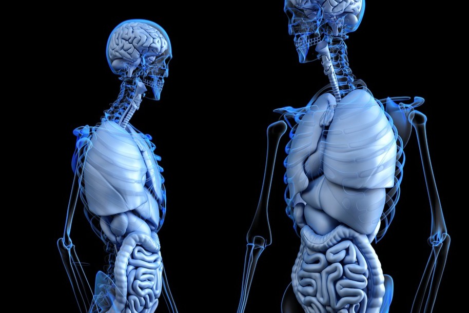 齐鲁制药：乙肝RNAi疗法报临床！Arbutus原研，花2.8亿美元引进