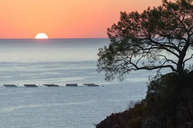 礼来重磅GLP-1/GIP双受体激动剂：效果出众！6月将获准2型糖尿病适应症