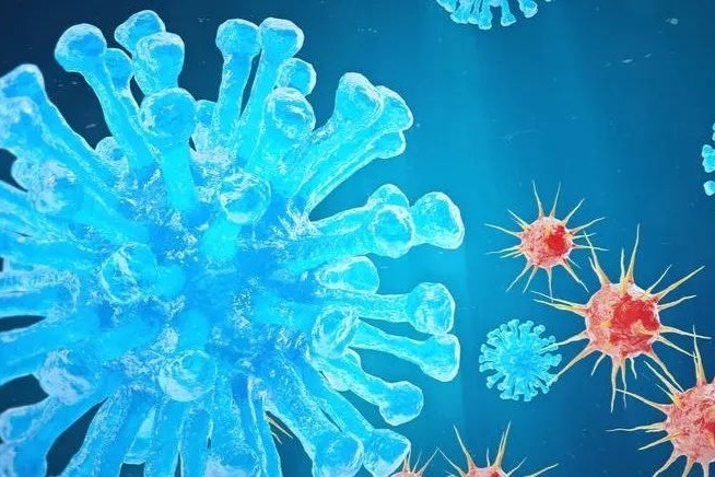 CDMO龙头药明生物：面对上海疫情是怎么做的？