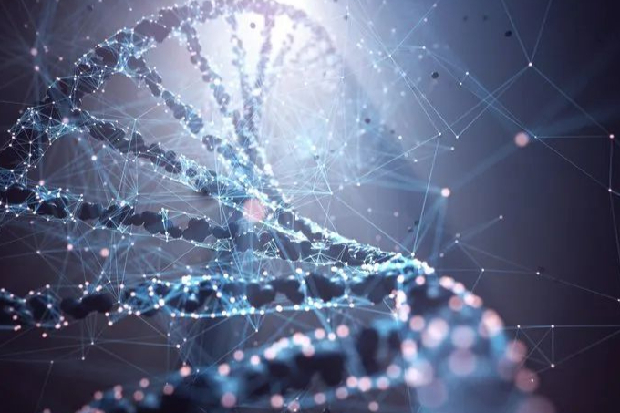 肿瘤细胞疗法：靶点和技术一文了解！制药公司重点研发领域