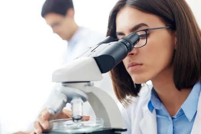 早期药物开发生物药剂学分类系统中药物渗透性预测