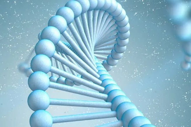 辉大基因：致力于基因治疗药物的研发和生产！4大技术平台在助力