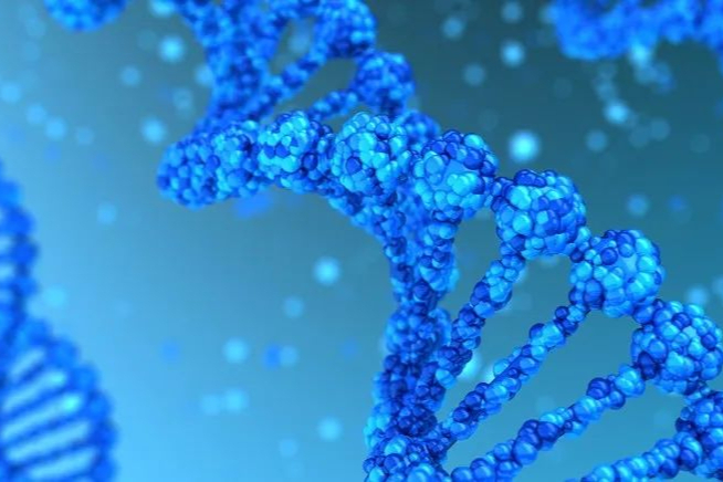 邦耀生物管线梳理！100多项专利成果收入囊中，多个新药项目进入申报