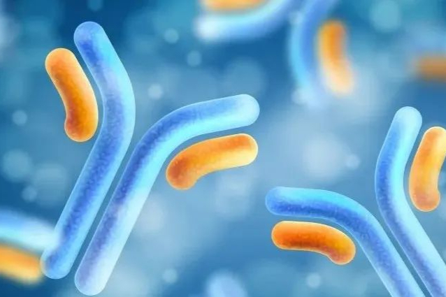 双抗逐渐获批：生物测定开发关键点在哪里？