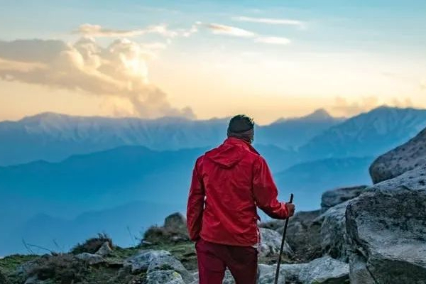 药明生物股票大涨8%！有望从美国“未经核实名单”中除名