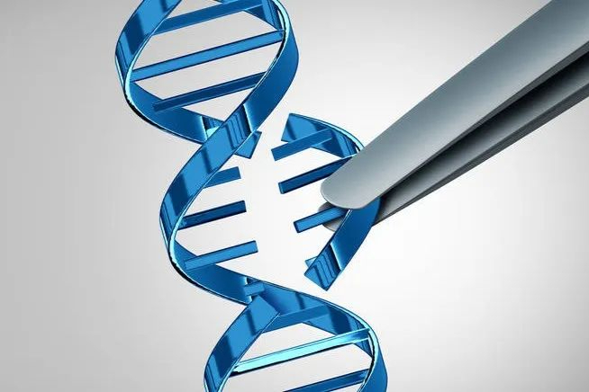 开发表观遗传基因药物！新锐生物公司获得5500万美元投资