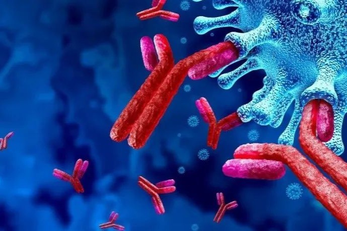 候选新药关键点！抗体质量全面表征之活性测定