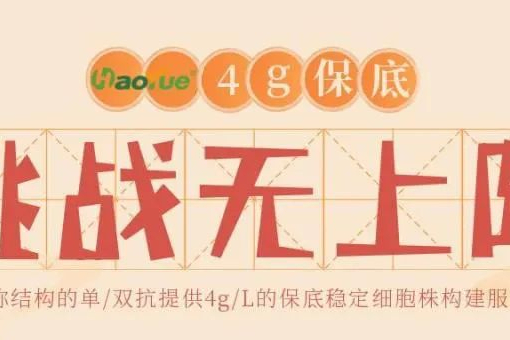 双特异性抗体CMC开发，赢在起跑线秘诀