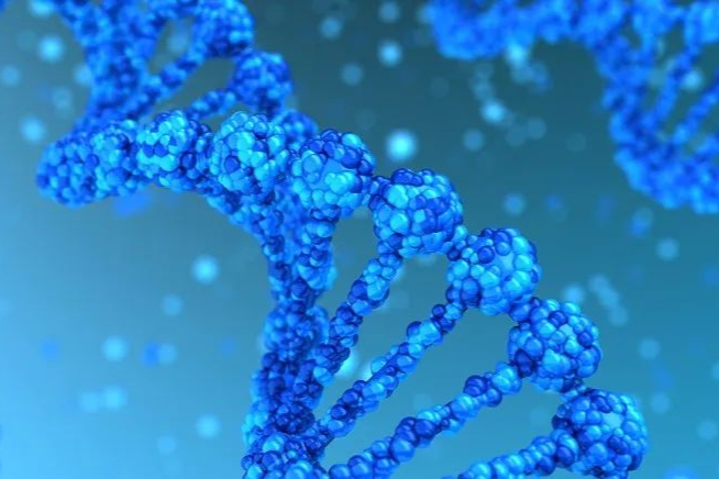 2022年药明生物半年报：营收72亿元！未完成订单1200多亿