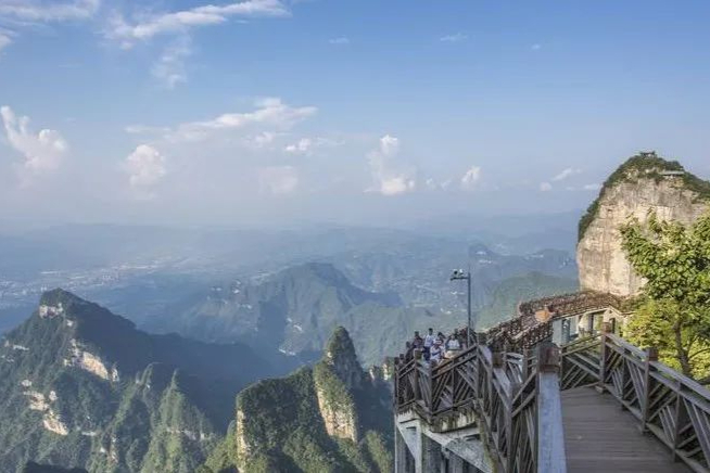 elacestrant提交上市并获美国FDA优先审评！乳腺癌重磅口服SERD新药