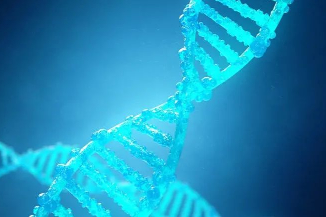 康万达管线梳理