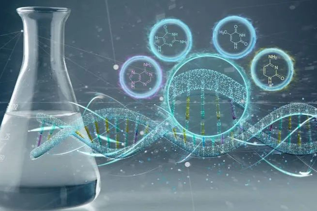 ​圣诺医药STP705的II期临床试验中实现100%完全缓解