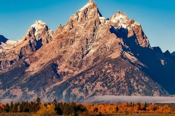 Biocon了不起的创始人：基兰女士从0到1打造出印度最大生物制药企业