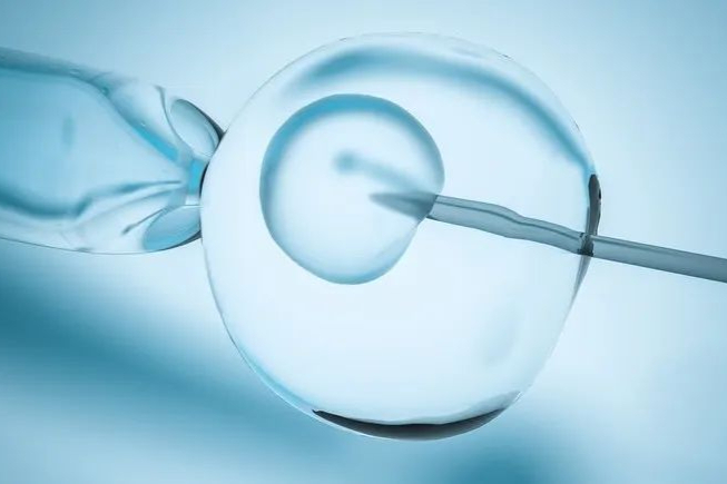 金斯瑞2022年中报：营收3.05亿美元！细胞疗法同比增长68.1%