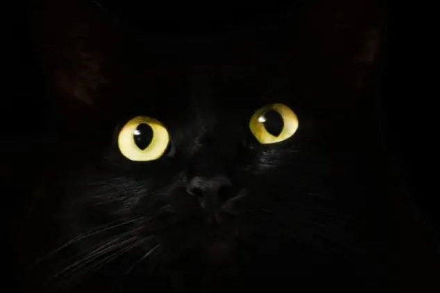 纵览眼科用药产业链的发展逻辑！从数据看赛道，《药融云眼科白皮书》发布！