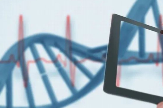 宜明细胞完成数亿元C轮融资，加速CGT全球化布局和一站式CDMO平台建设