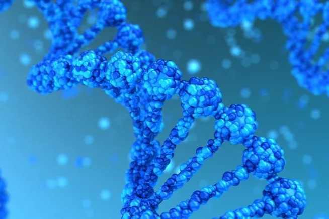 传奇生物CAR-T疗法产品：Q3销售5500万美元，快速放量