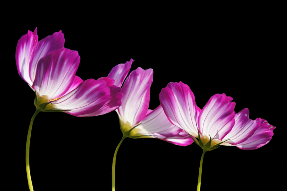 冲击国产仿制药！恩华药业拉考沙胺注射液申报上市，20$抗癫痫药